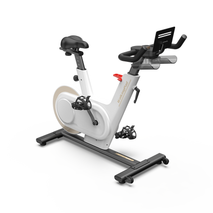 WalkingPad Sprint Bike