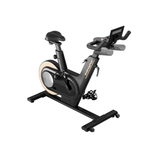 WalkingPad Sprint Bike